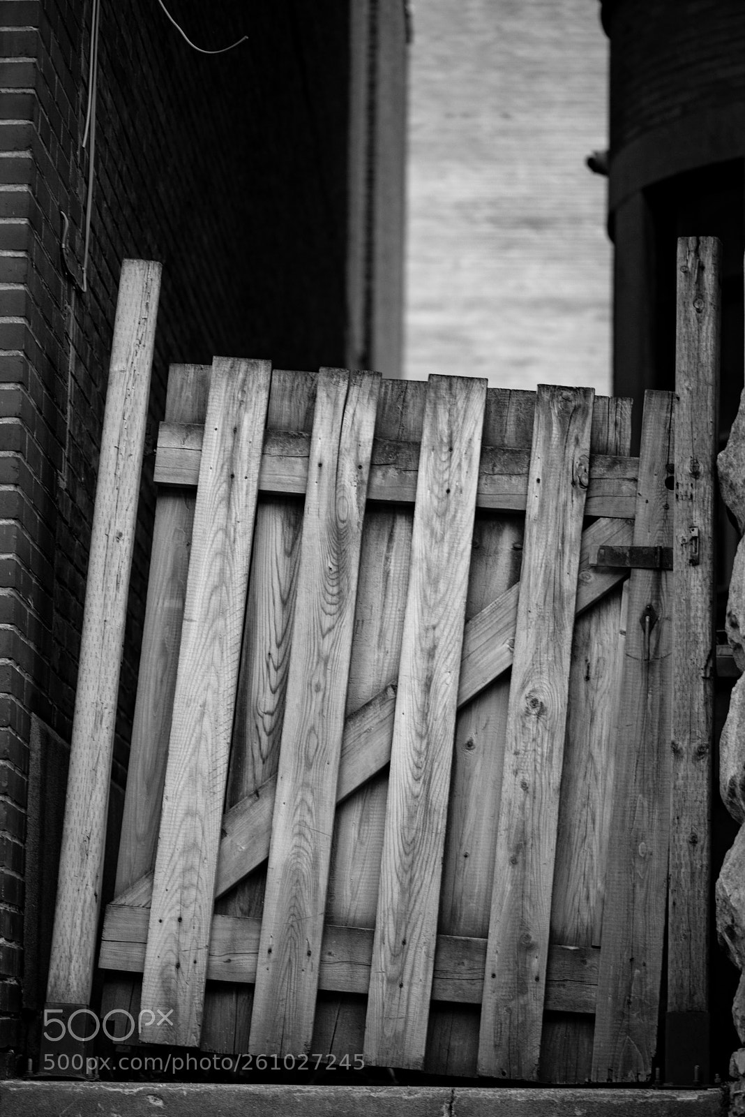 Nikon D800E sample photo. Opportunity knocking photography