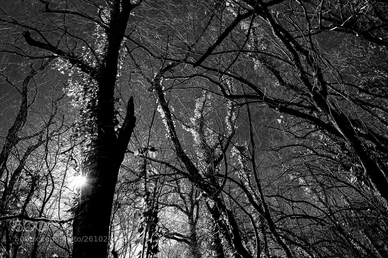 Nikon D700 sample photo. Untitled photography