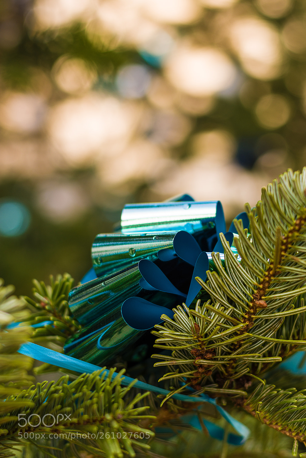 Nikon D7200 sample photo. Christmas in paris photography