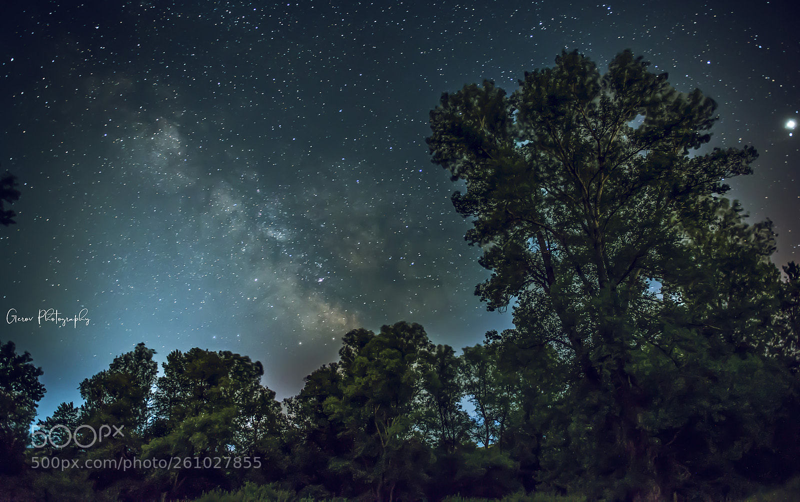 Nikon D610 sample photo. Milky way photography