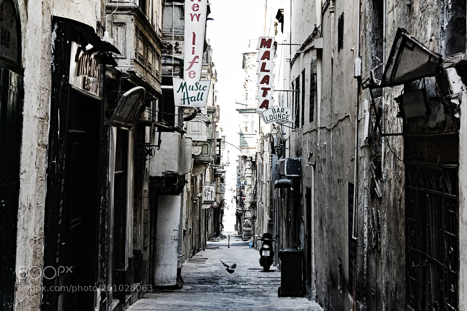 Canon EOS 60D sample photo. Valletta alley pigeon photography