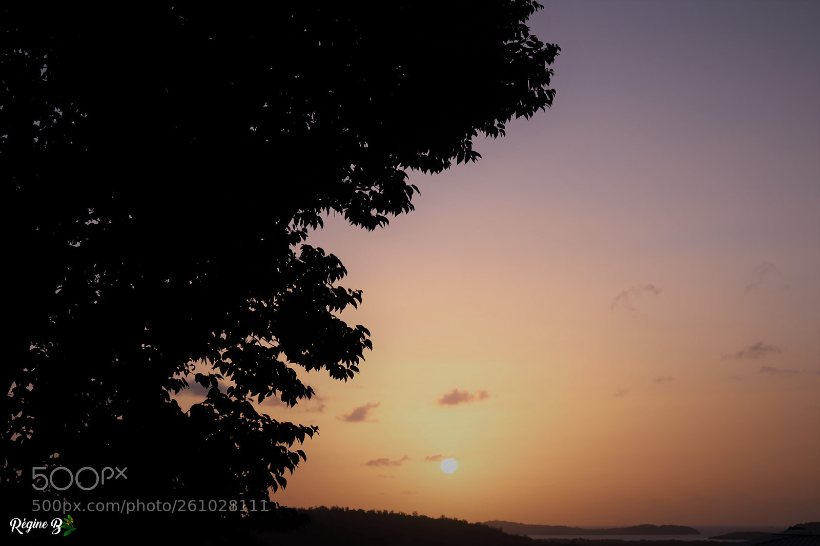 Canon EOS 200D (EOS Rebel SL2 / EOS Kiss X9) sample photo. Sunset harmony photography