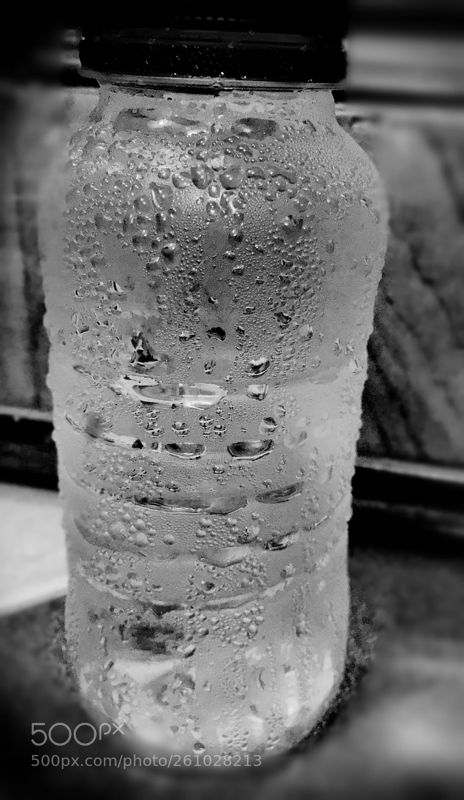 Apple iPhone 6s sample photo. Untitled photography