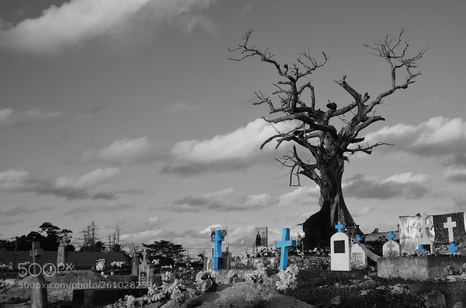 Nikon D7000 sample photo. Graveyard.  tonga. photography