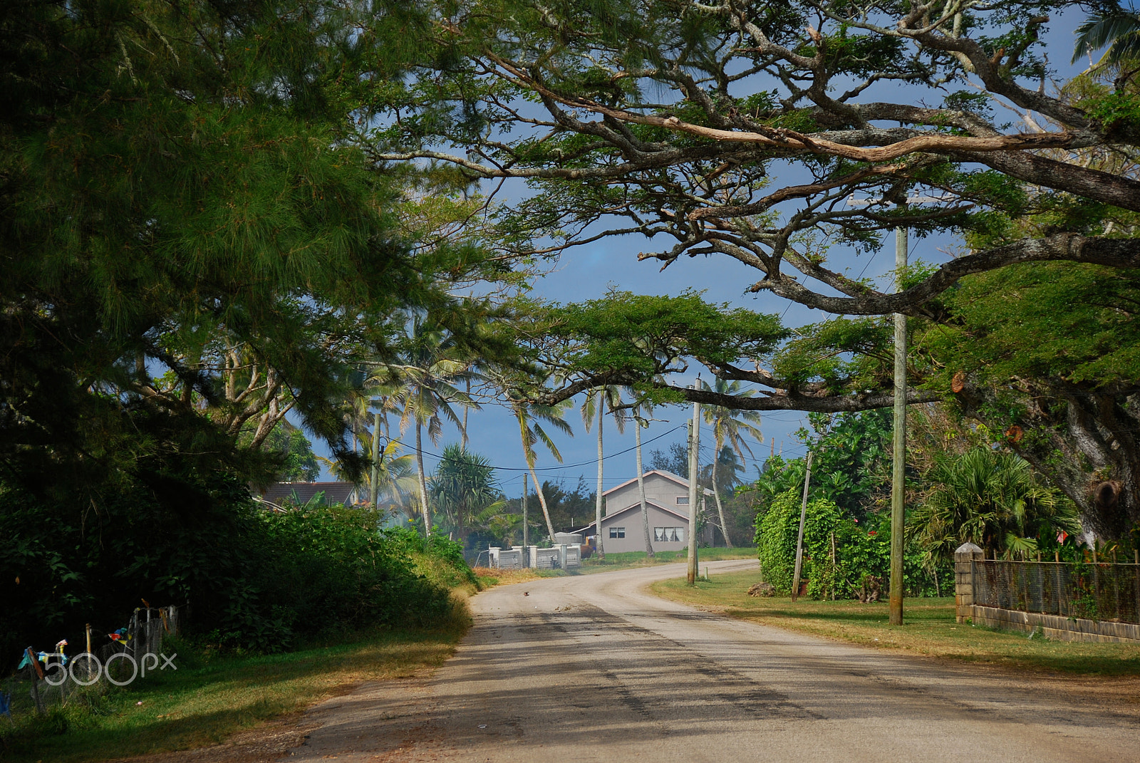 Nikon D80 sample photo. Road scene.  tonga. photography