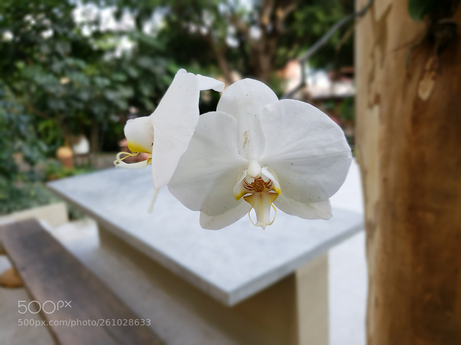 Samsung Galaxy S9 sample photo. Untitled photography