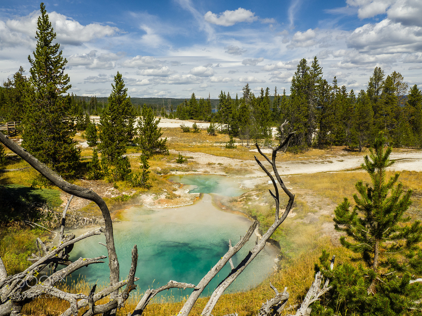 Olympus OM-D E-M10 sample photo. Yellowstone, wy photography