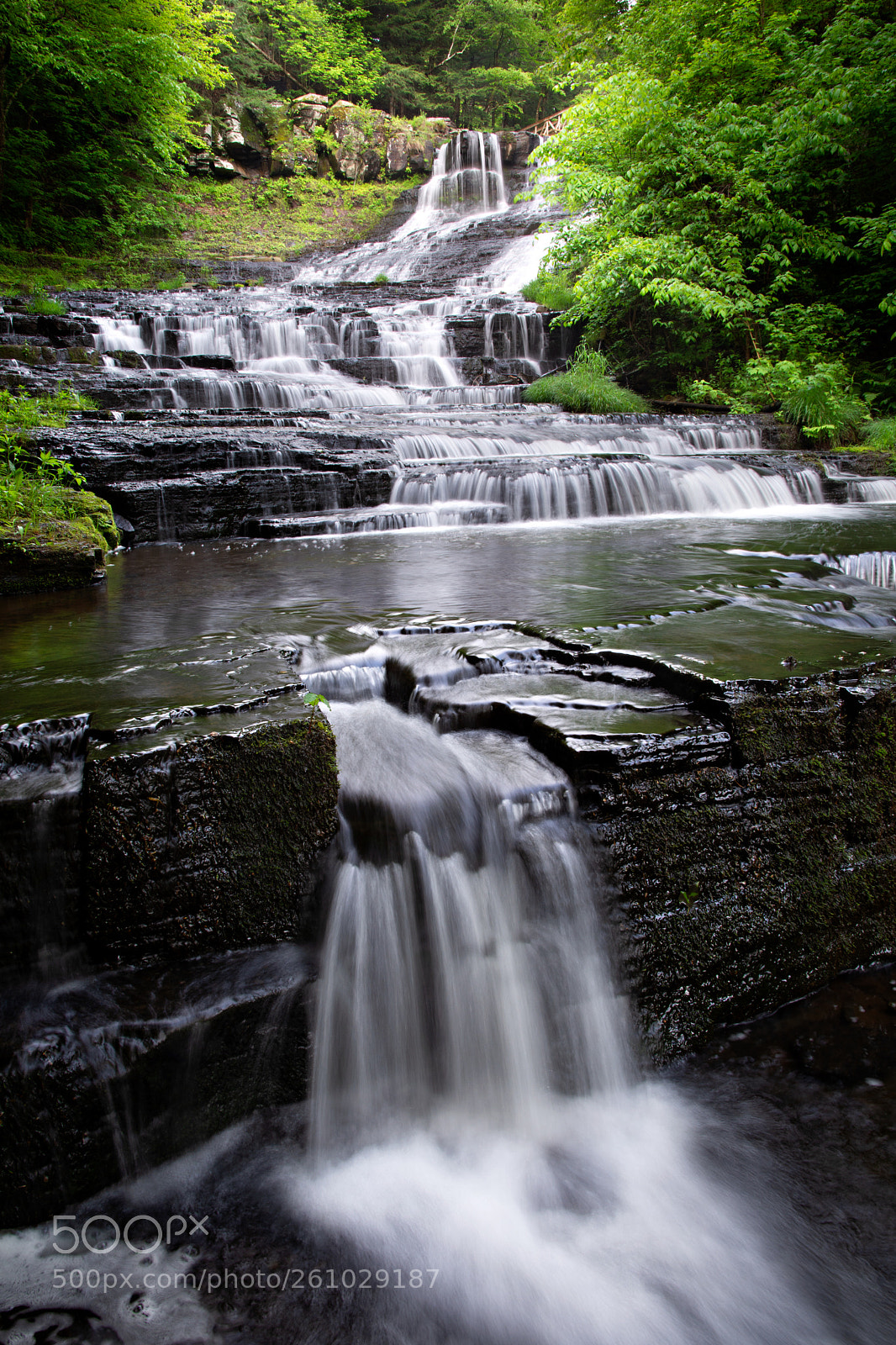 Nikon D7100 sample photo. Myosotis falls 18' photography