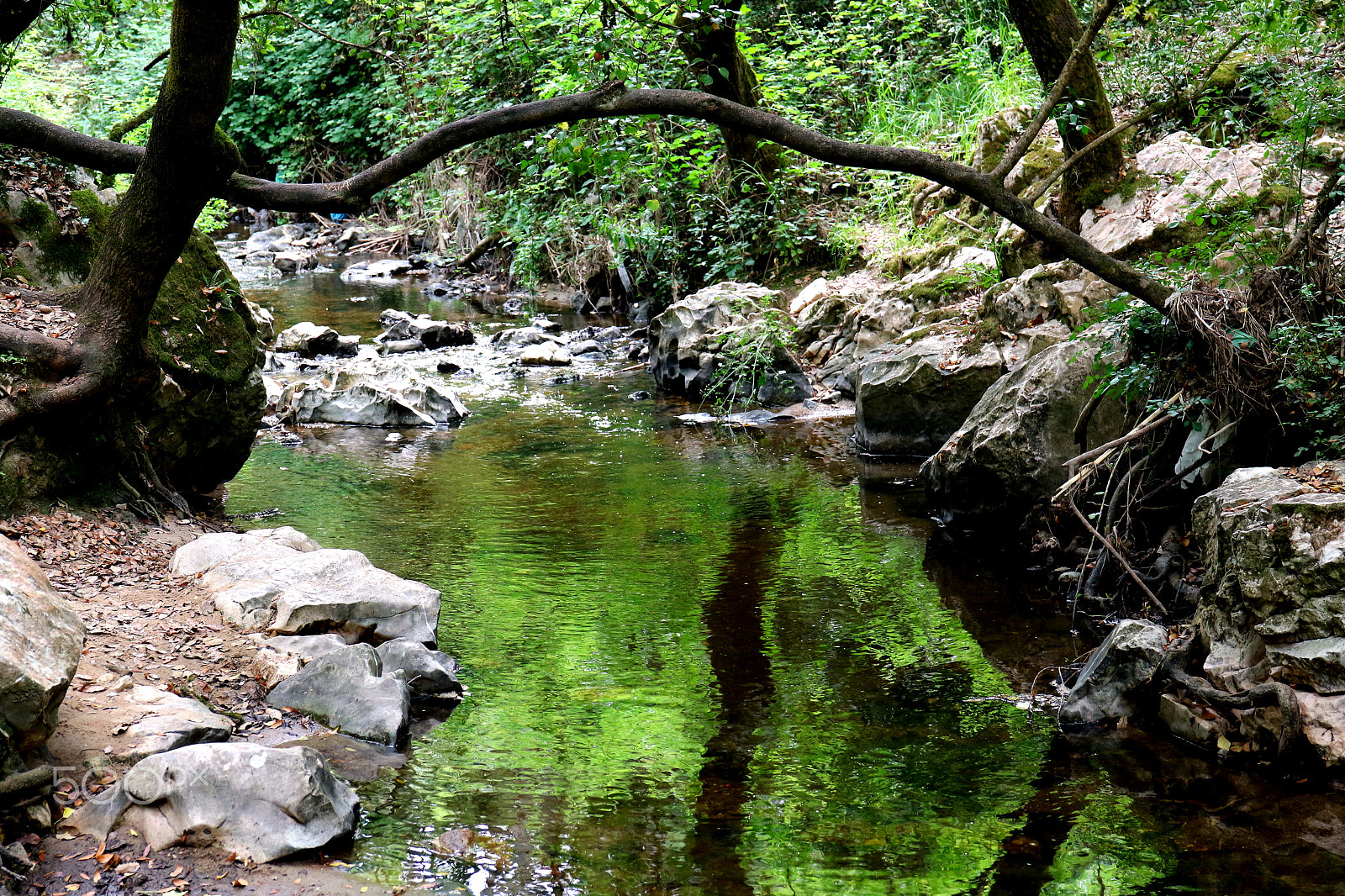 Canon EF 24-70mm F4L IS USM sample photo. River photography