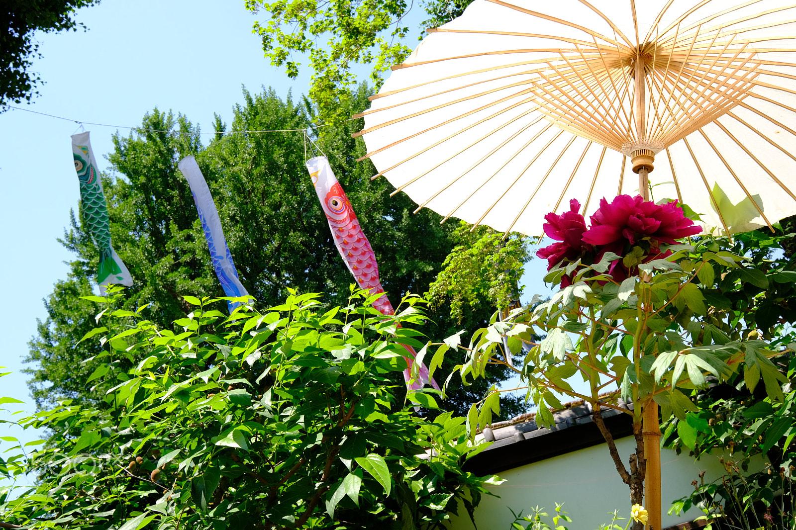 Fujifilm X-E3 sample photo. 鯉のぼり (carp streamer) photography