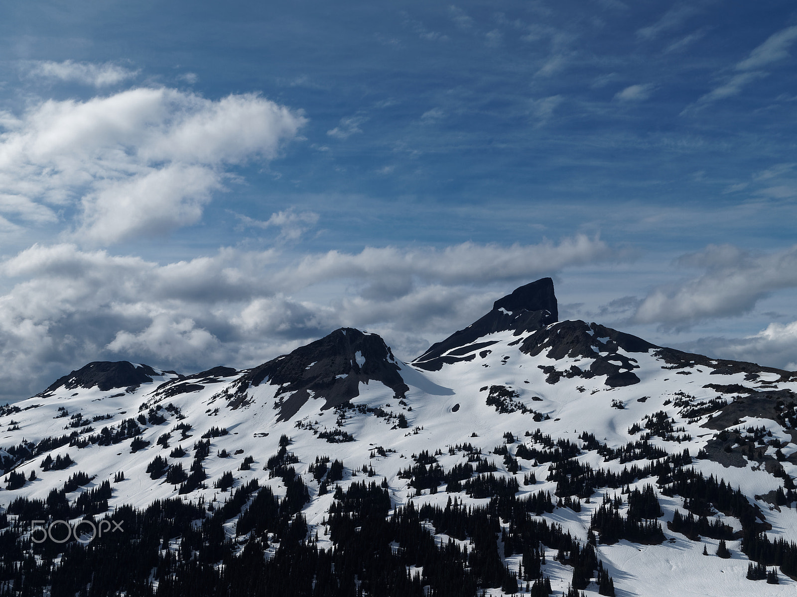 Olympus PEN E-PL1 sample photo. Black tusk photography