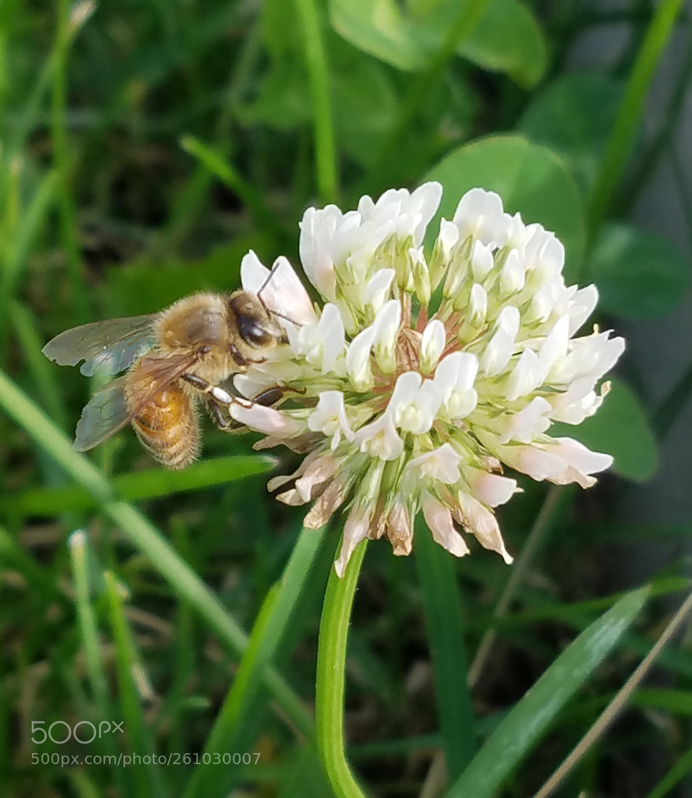 Samsung Galaxy S7 Edge sample photo. Untitled photography