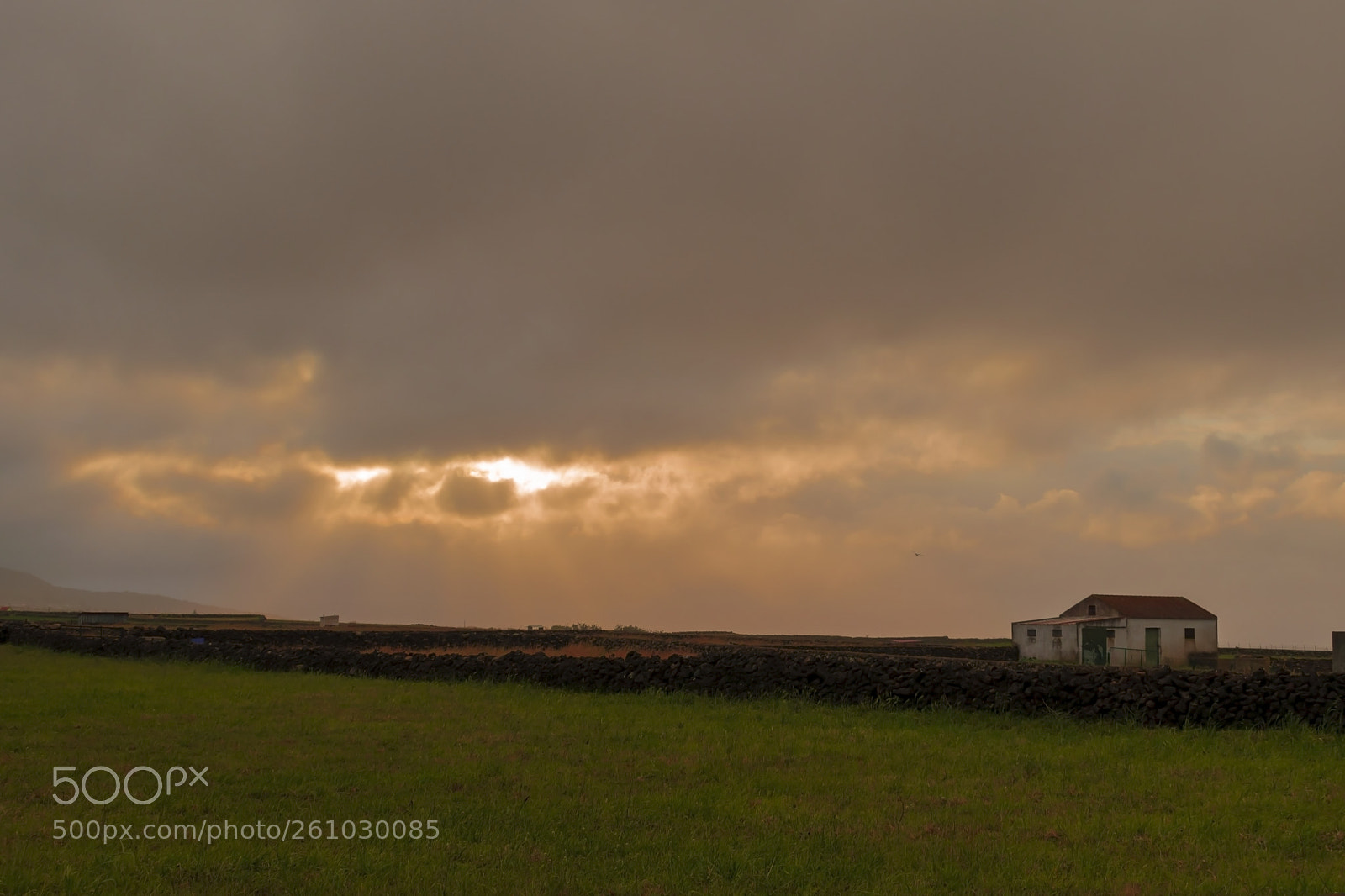 Nikon D5600 sample photo. Hut photography