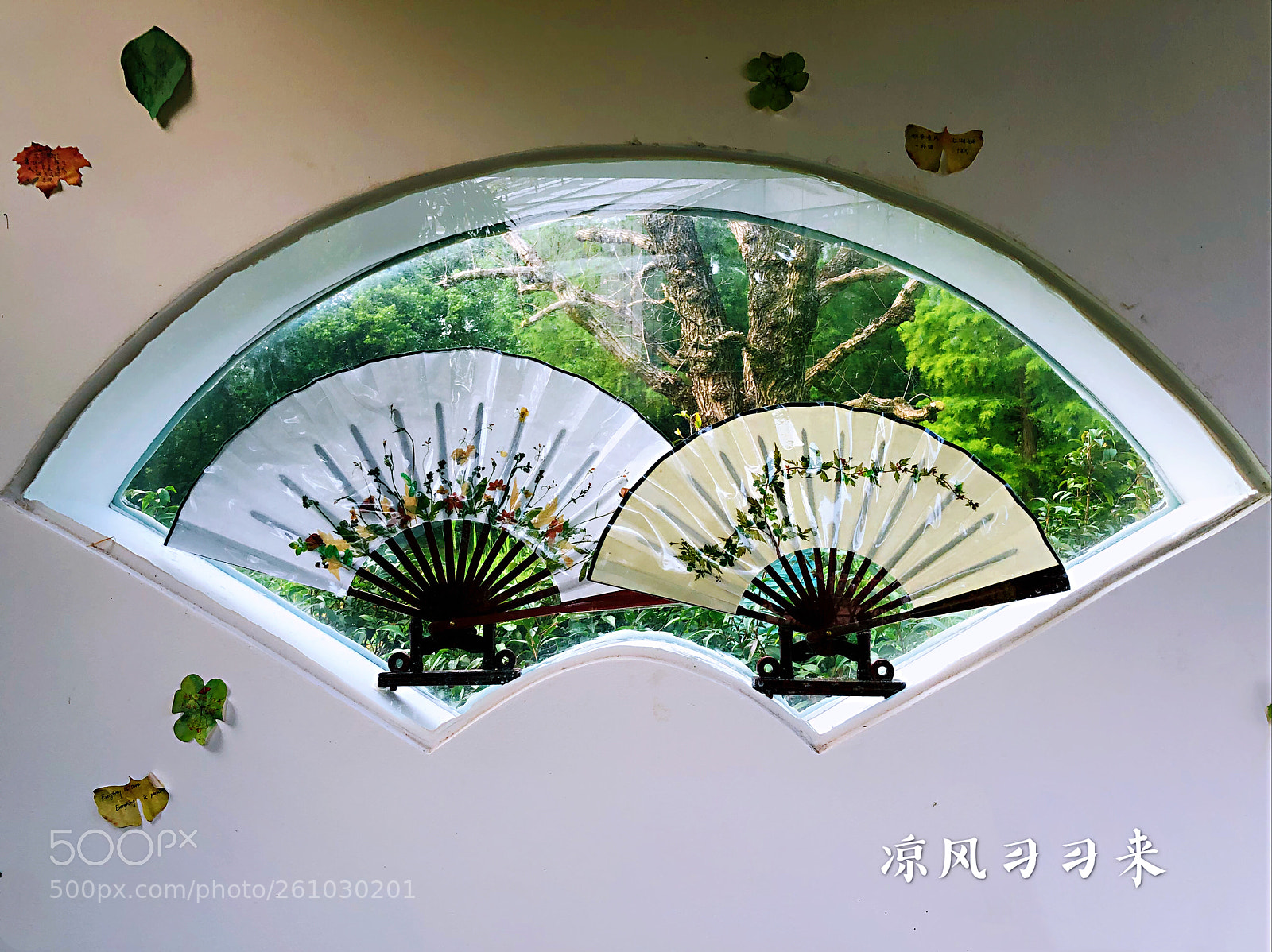 Apple iPhone X sample photo. 宝扇鸾开翅.数摺聚清风... photography