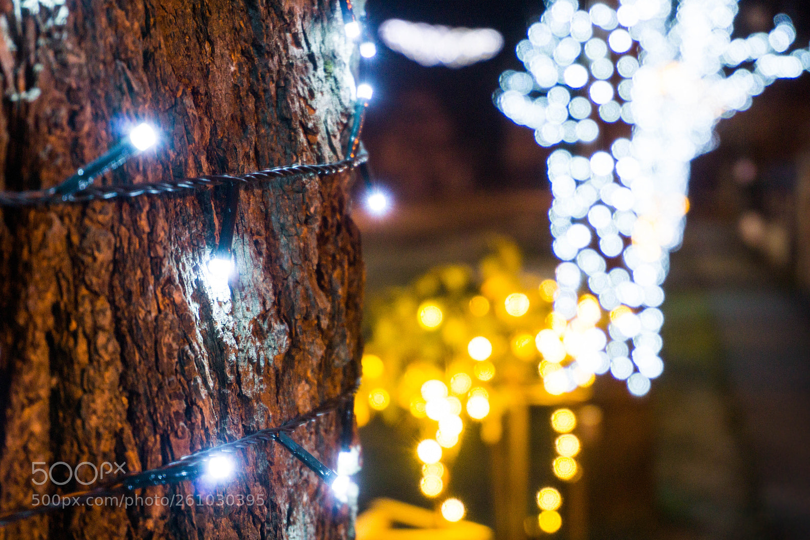 Sony a6000 sample photo. Lights on photography