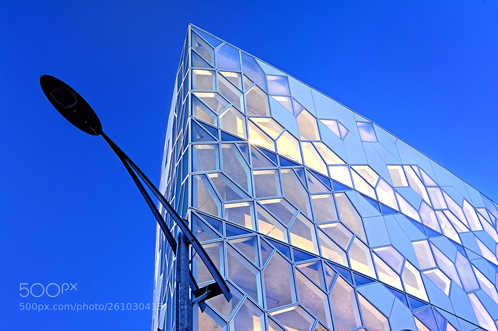 Nikon D7100 sample photo. The new library photography