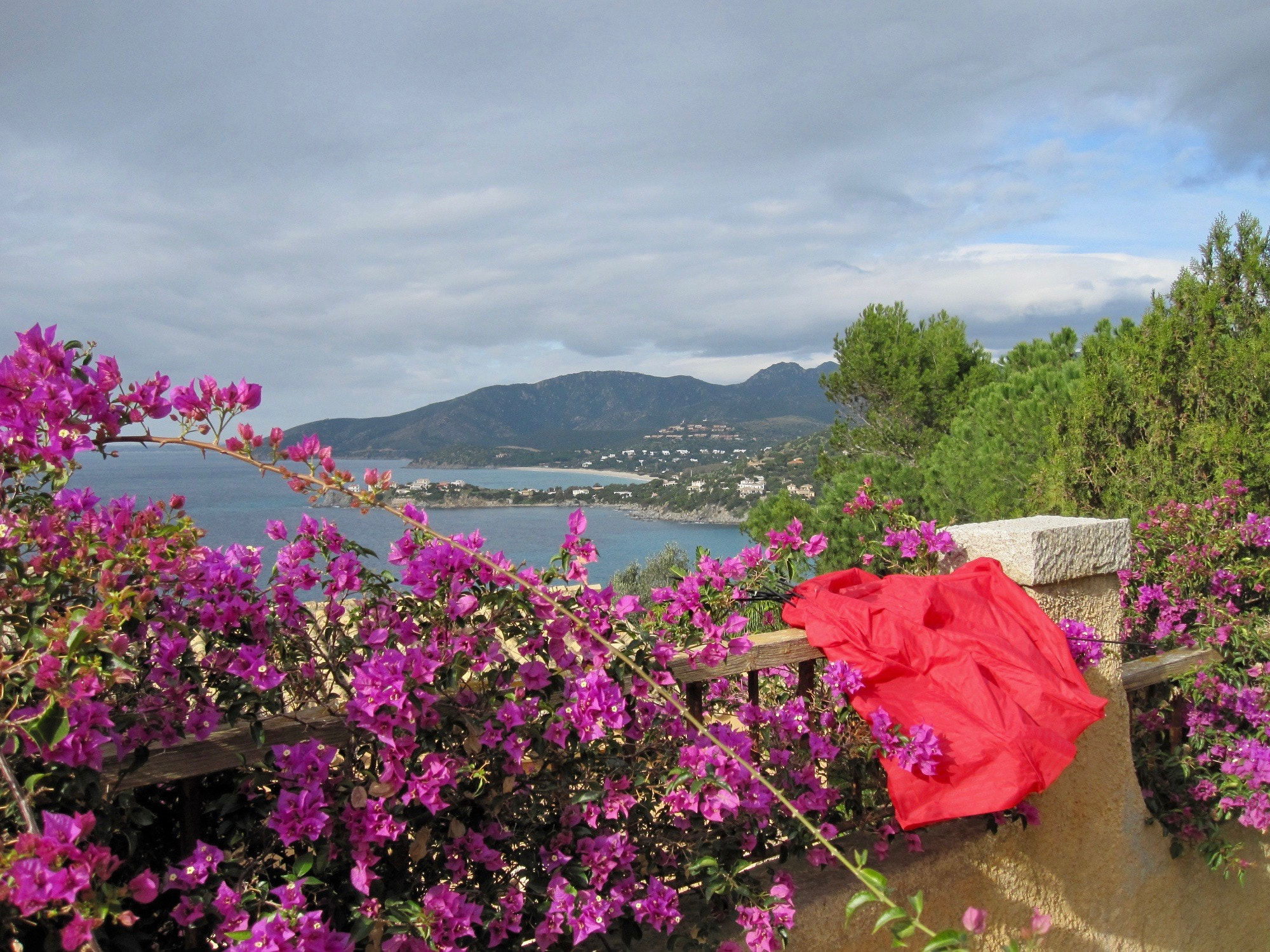 Canon PowerShot SD780 IS (Digital IXUS 100 IS / IXY Digital 210 IS) sample photo. Photo for a puzzle photography