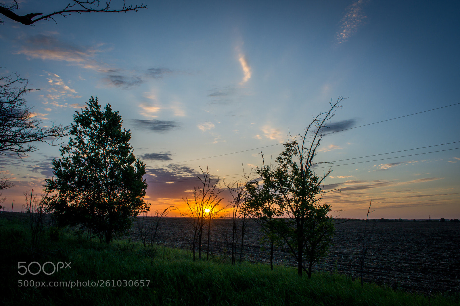 Nikon D5200 sample photo. Evening sun photography