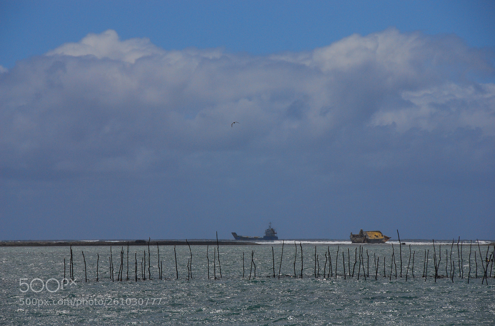 Nikon D80 sample photo. Mulinu'u.  apia.  samoa. photography