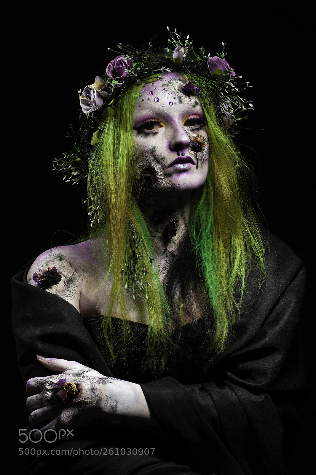 Canon EOS 5D Mark II sample photo. The fallen fairy photography