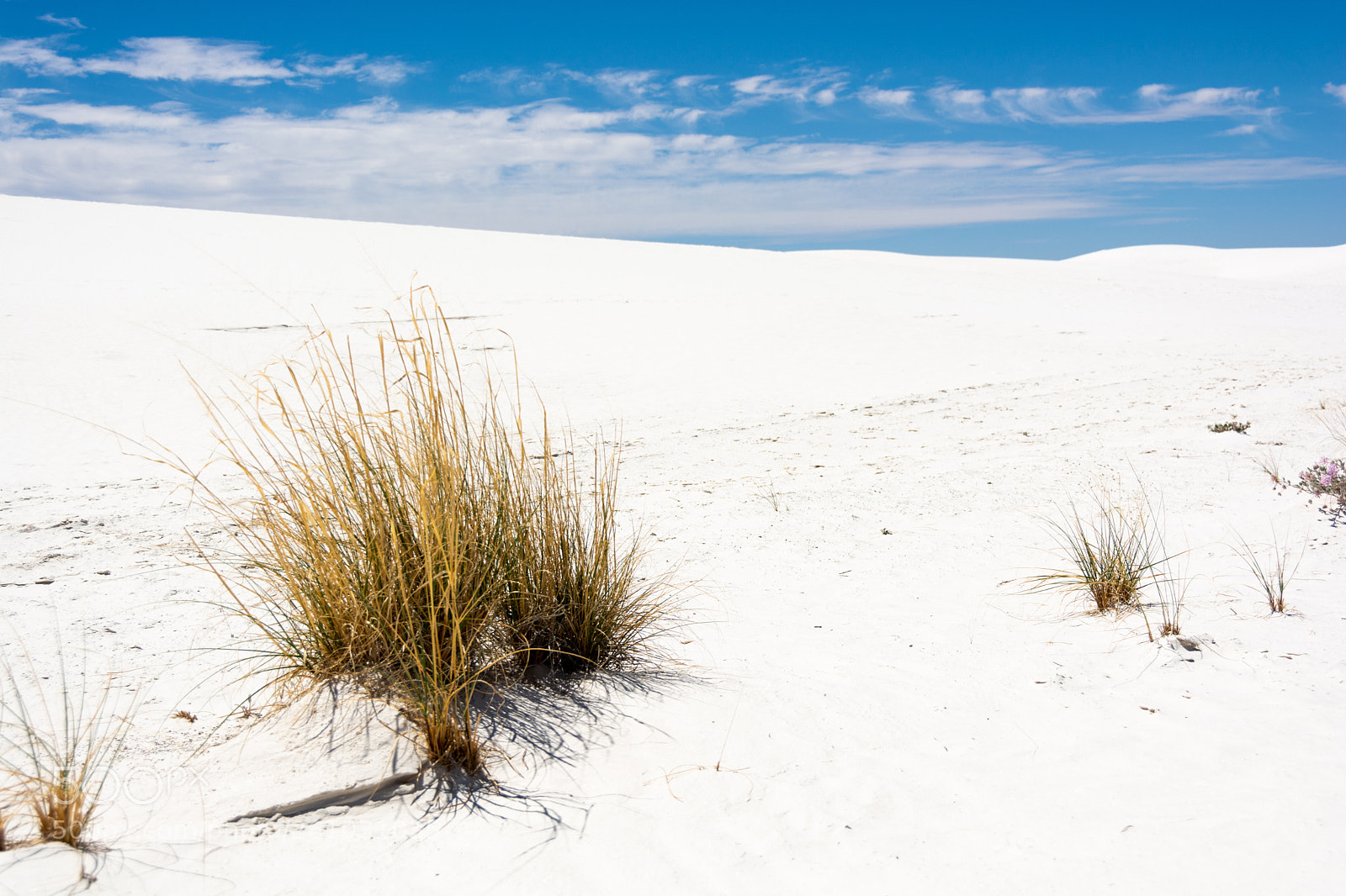 Nikon D7100 sample photo. Summer in the white photography