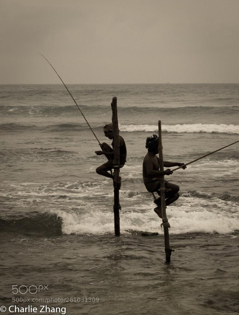 Canon EOS-1D X sample photo. Untitled photography