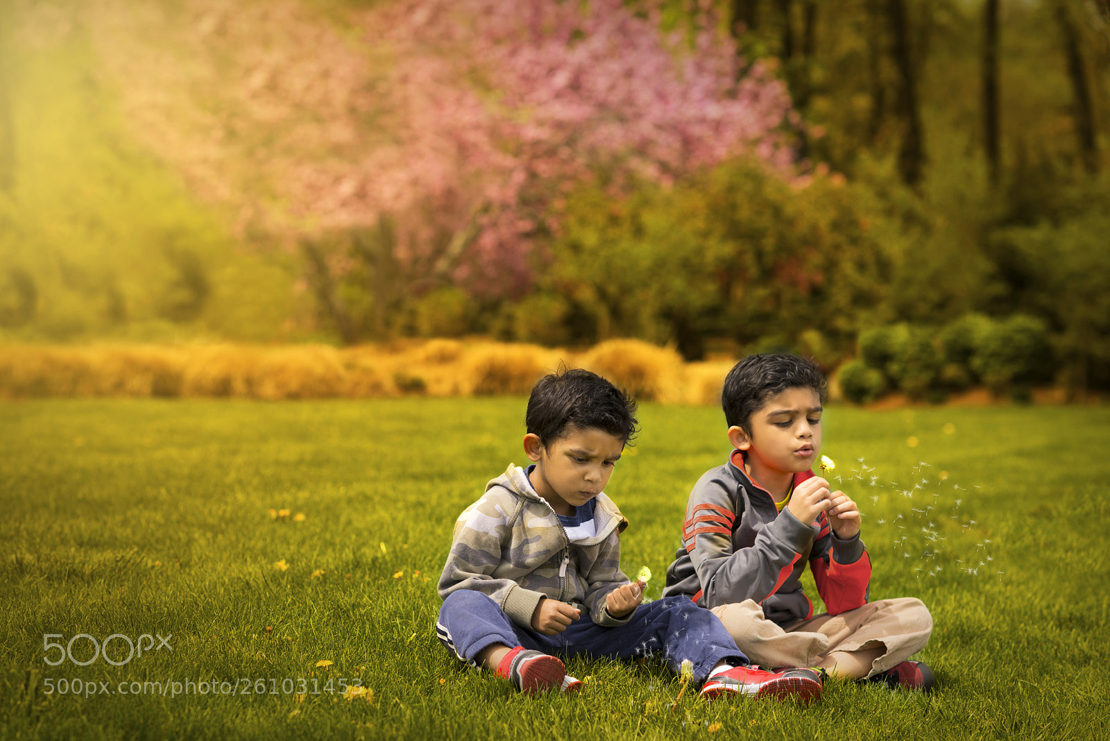 Nikon D610 sample photo. Childhood wonder photography