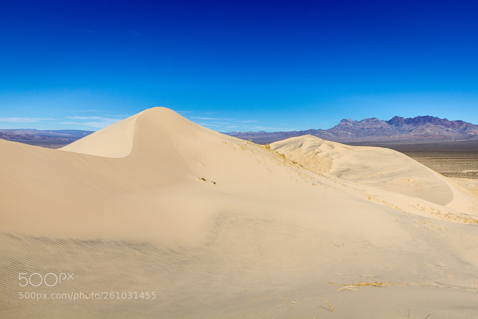 Canon EOS 550D (EOS Rebel T2i / EOS Kiss X4) sample photo. Kelso dunes photography