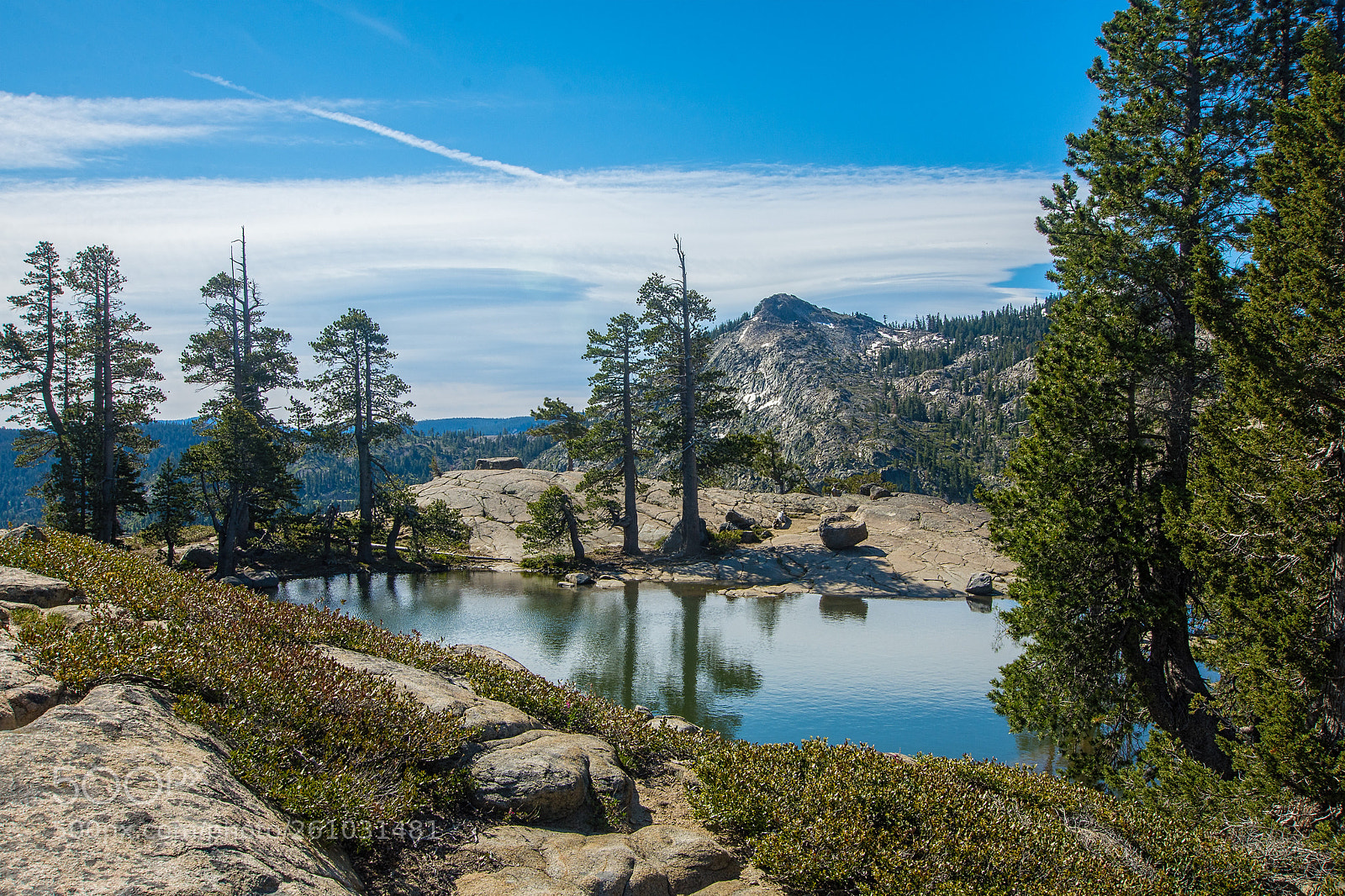 Nikon D7200 sample photo. Little pond on the photography