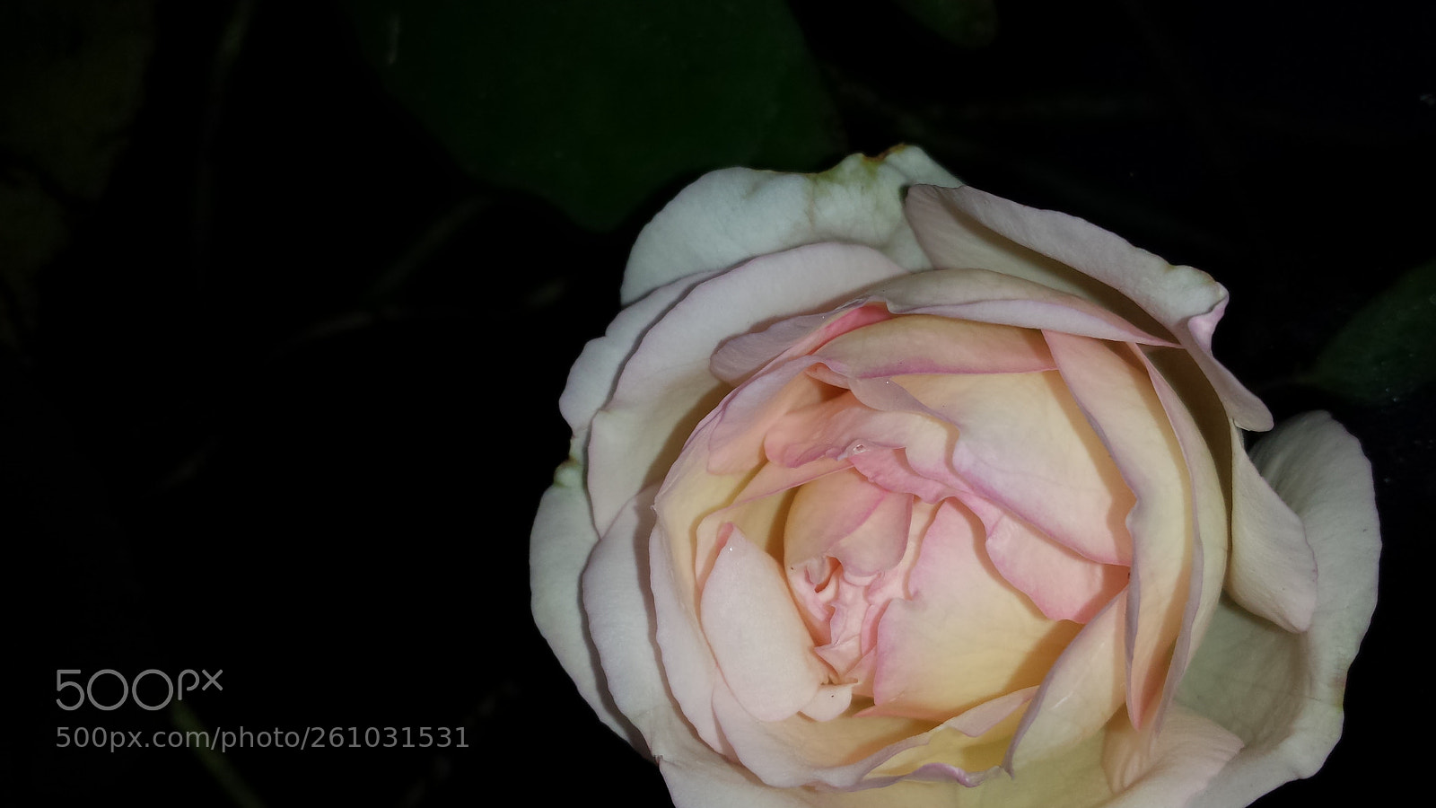 Samsung Galaxy S4 sample photo. Untitled photography