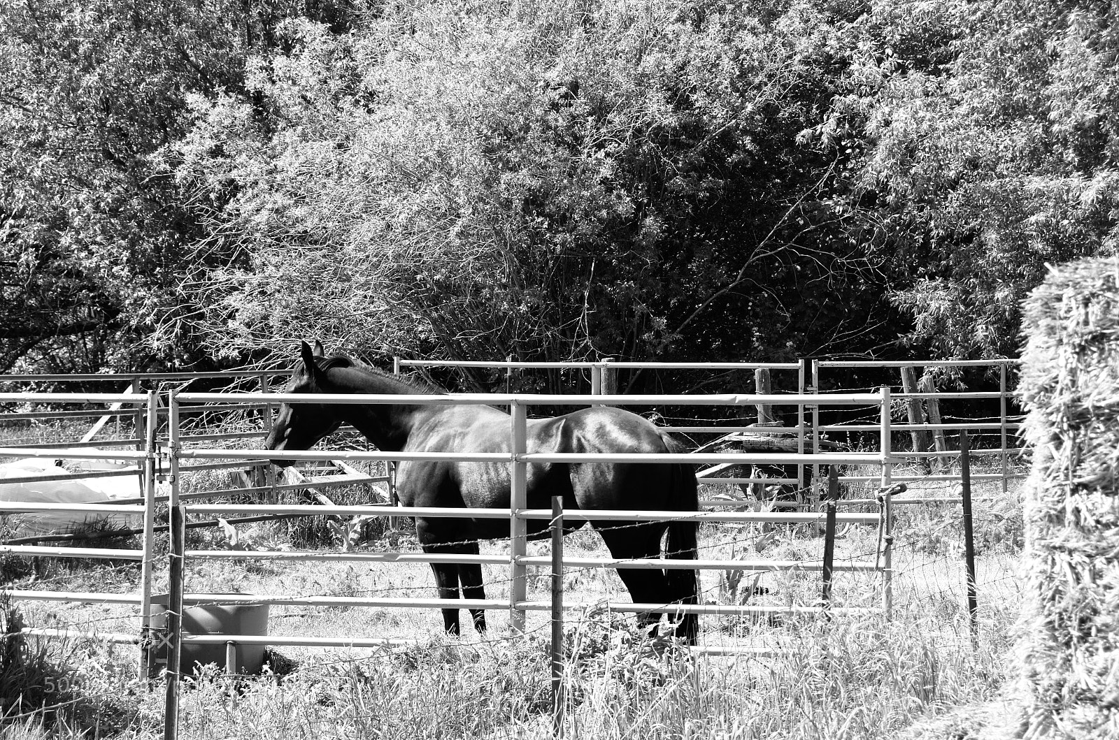 Nikon D7000 sample photo. Lost on the road photography