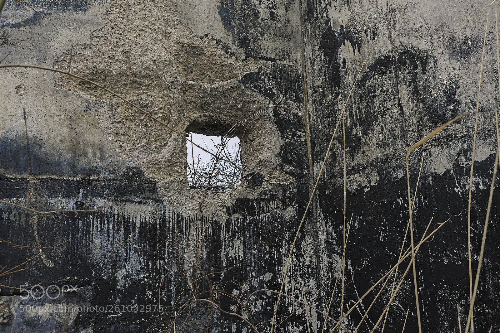 Nikon D810 sample photo. Window without a view photography