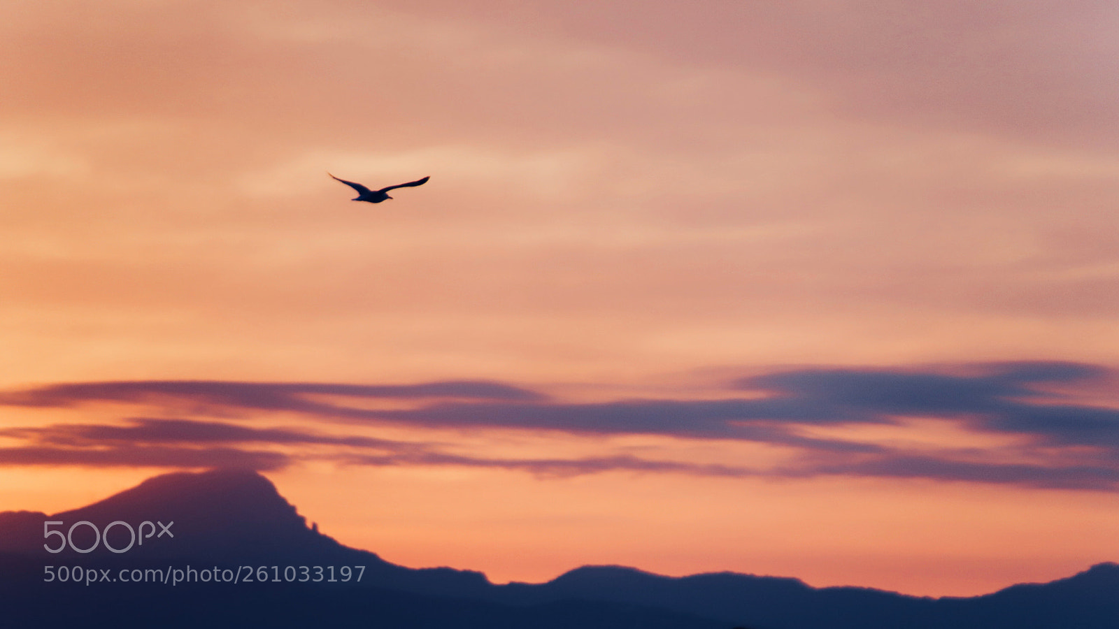 Canon EOS 6D Mark II sample photo. Untitled photography
