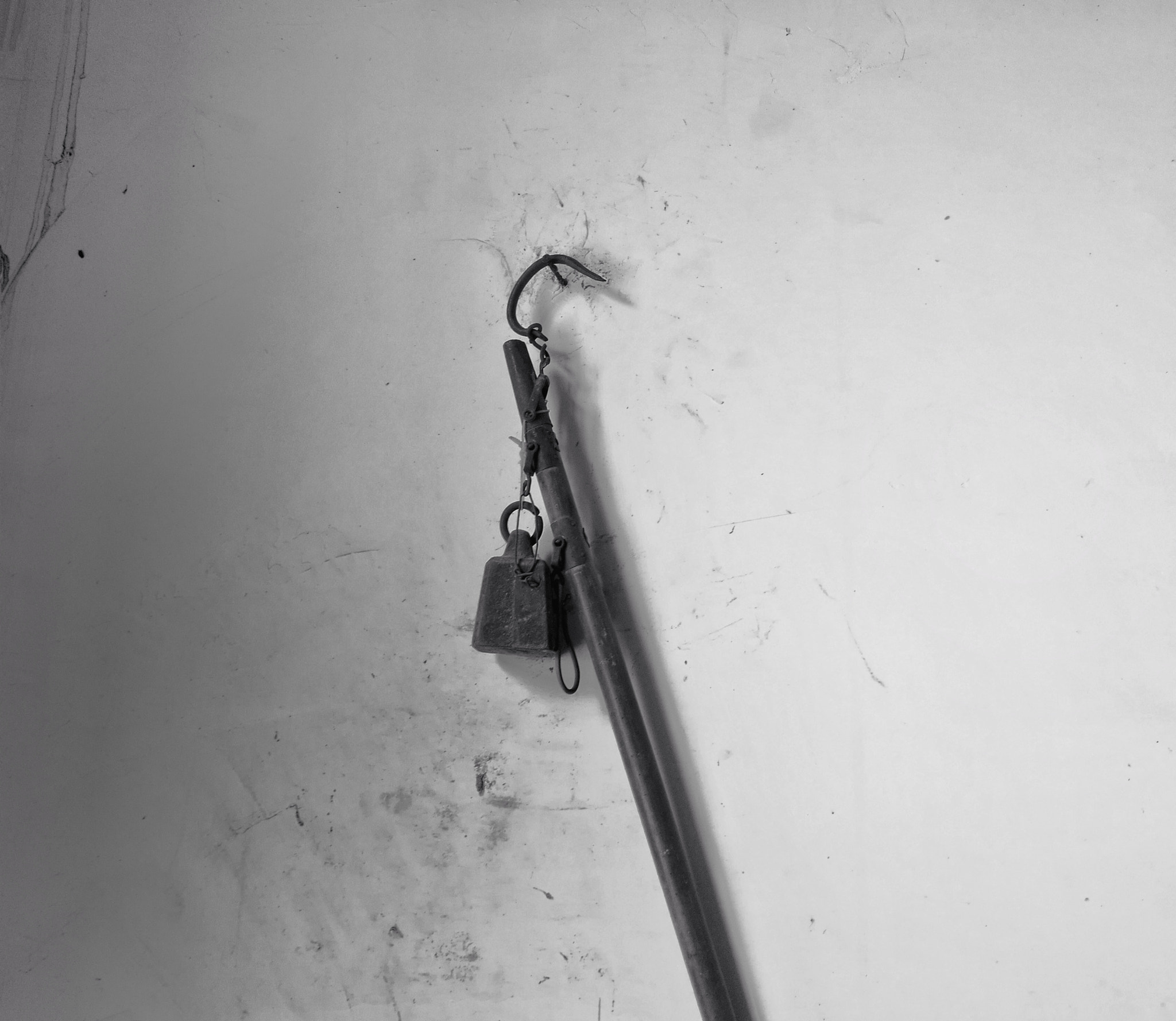 HUAWEI Honor 8 sample photo
