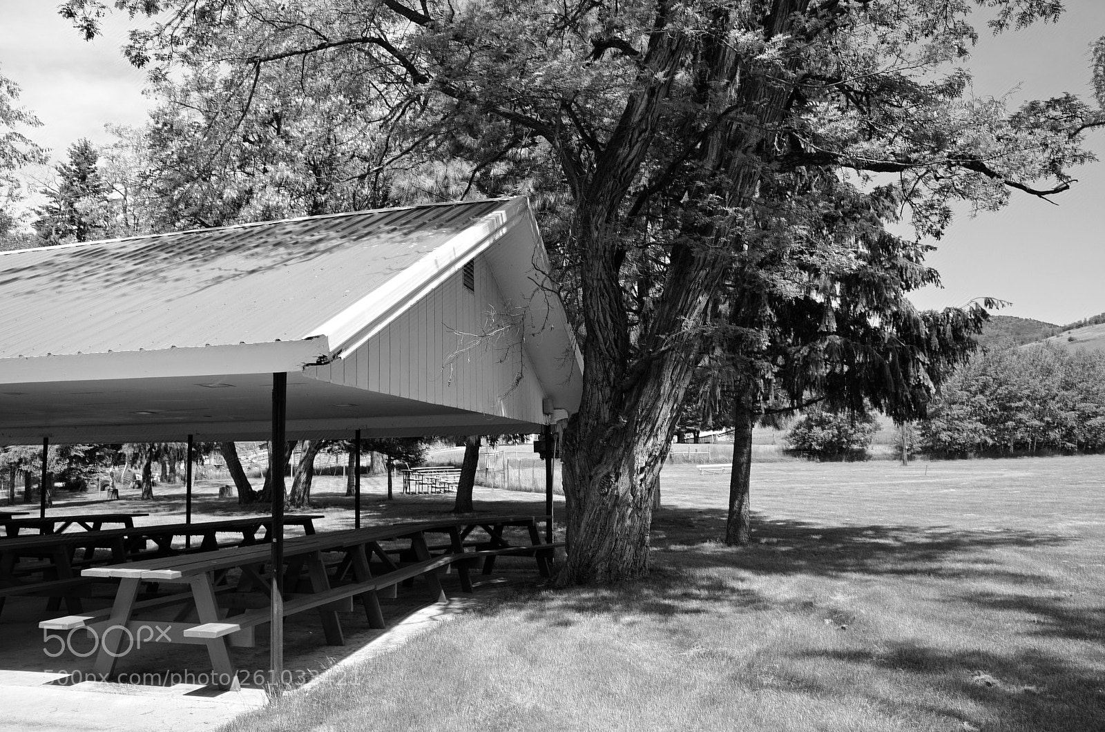 Nikon D7000 sample photo. Prayers at the wayside photography