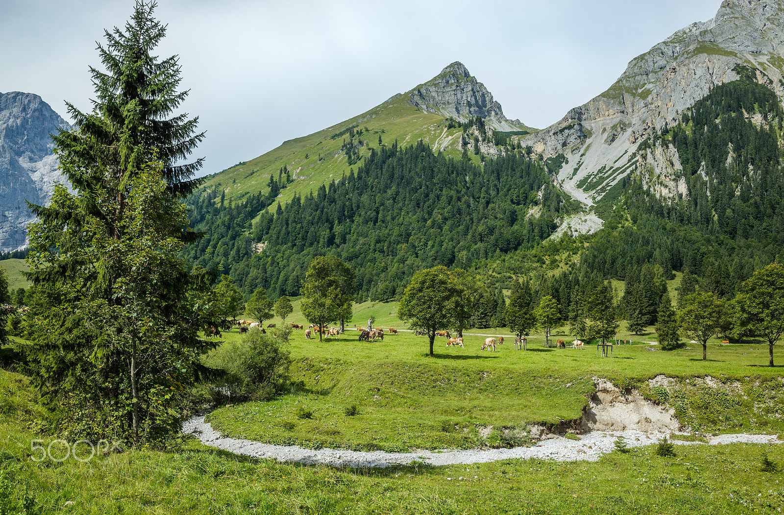 Ricoh GR sample photo. Alpenpark karwendel photography