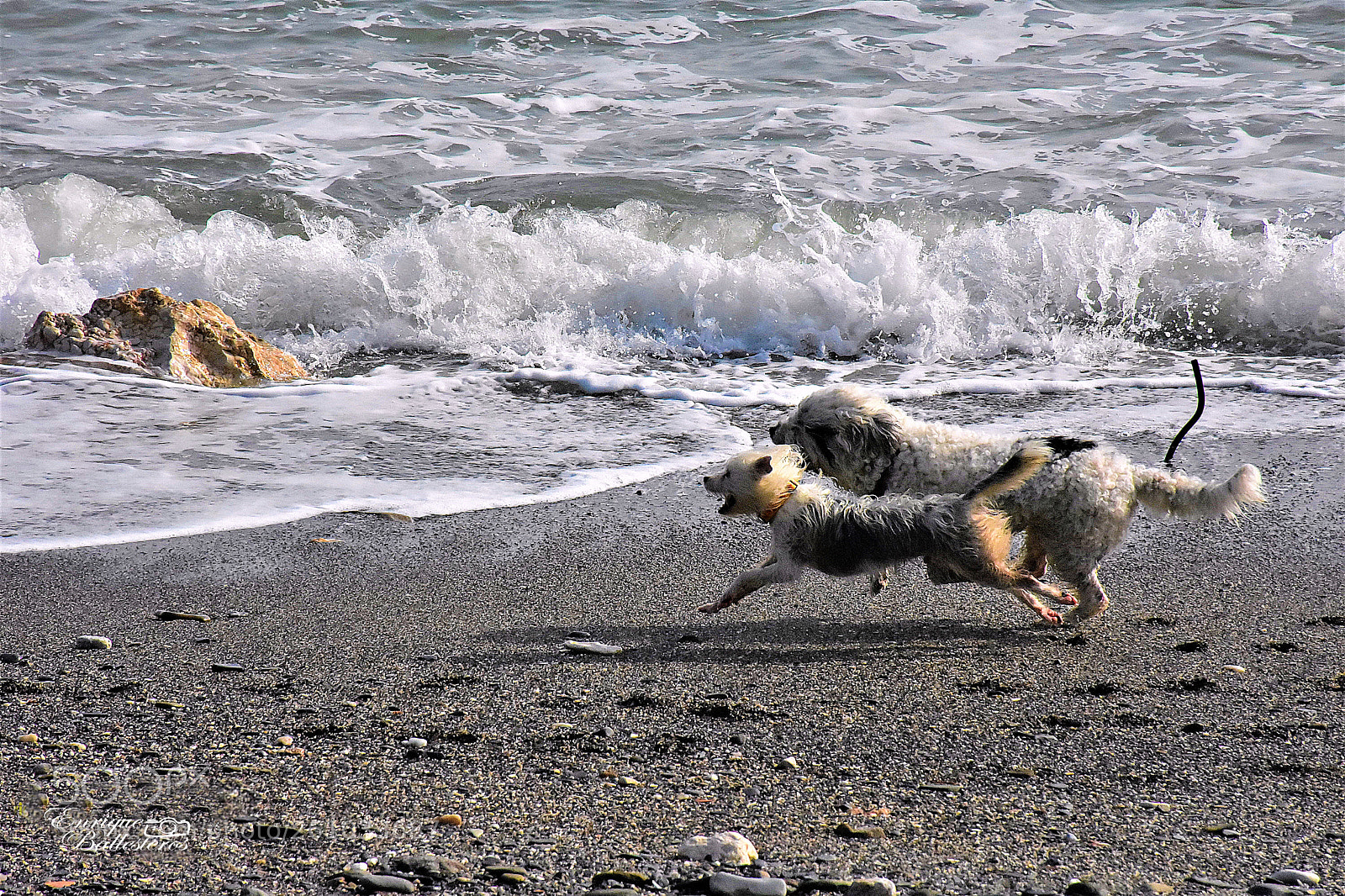 Nikon D7200 sample photo. Al agua... photography