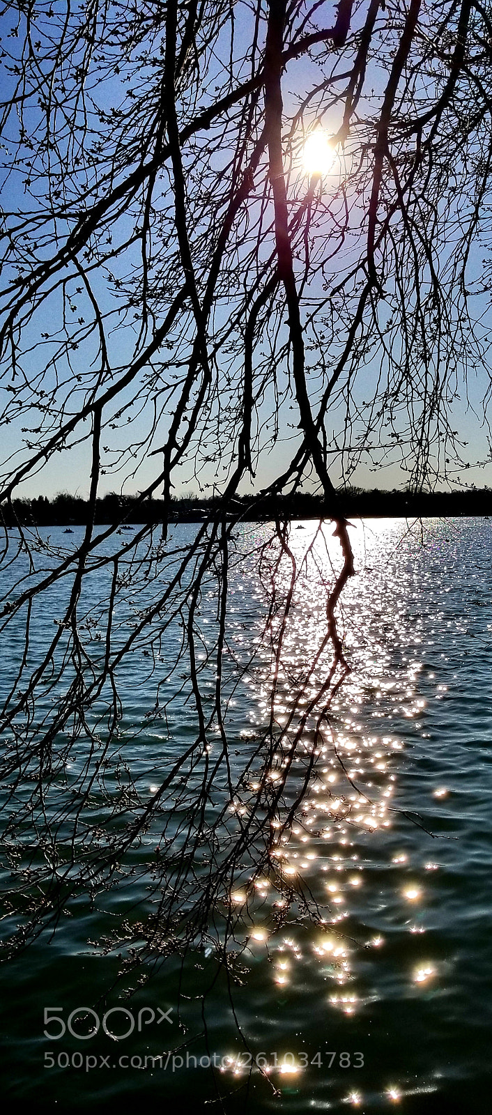 Samsung Galaxy S8 sample photo. Sparkles photography