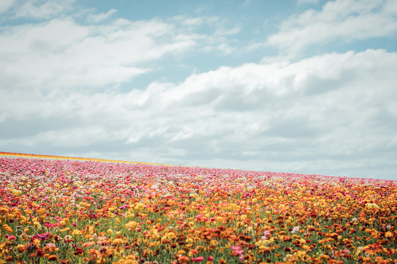 Canon EOS 5D Mark IV sample photo. Happy clouds photography