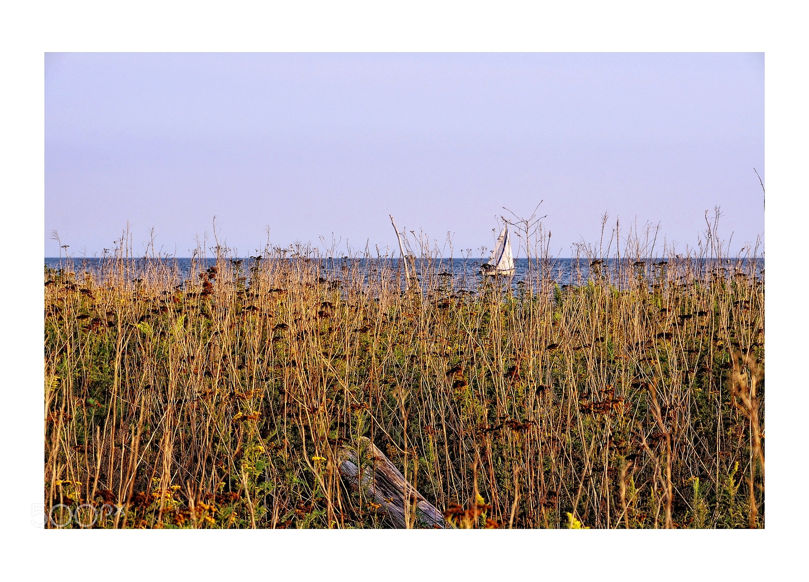 Nikon D7000 sample photo. Summer lake view from photography