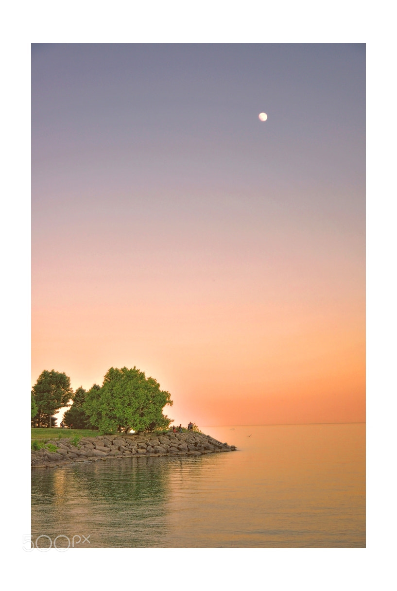 Nikon D5000 sample photo. Summer evening sunset by photography