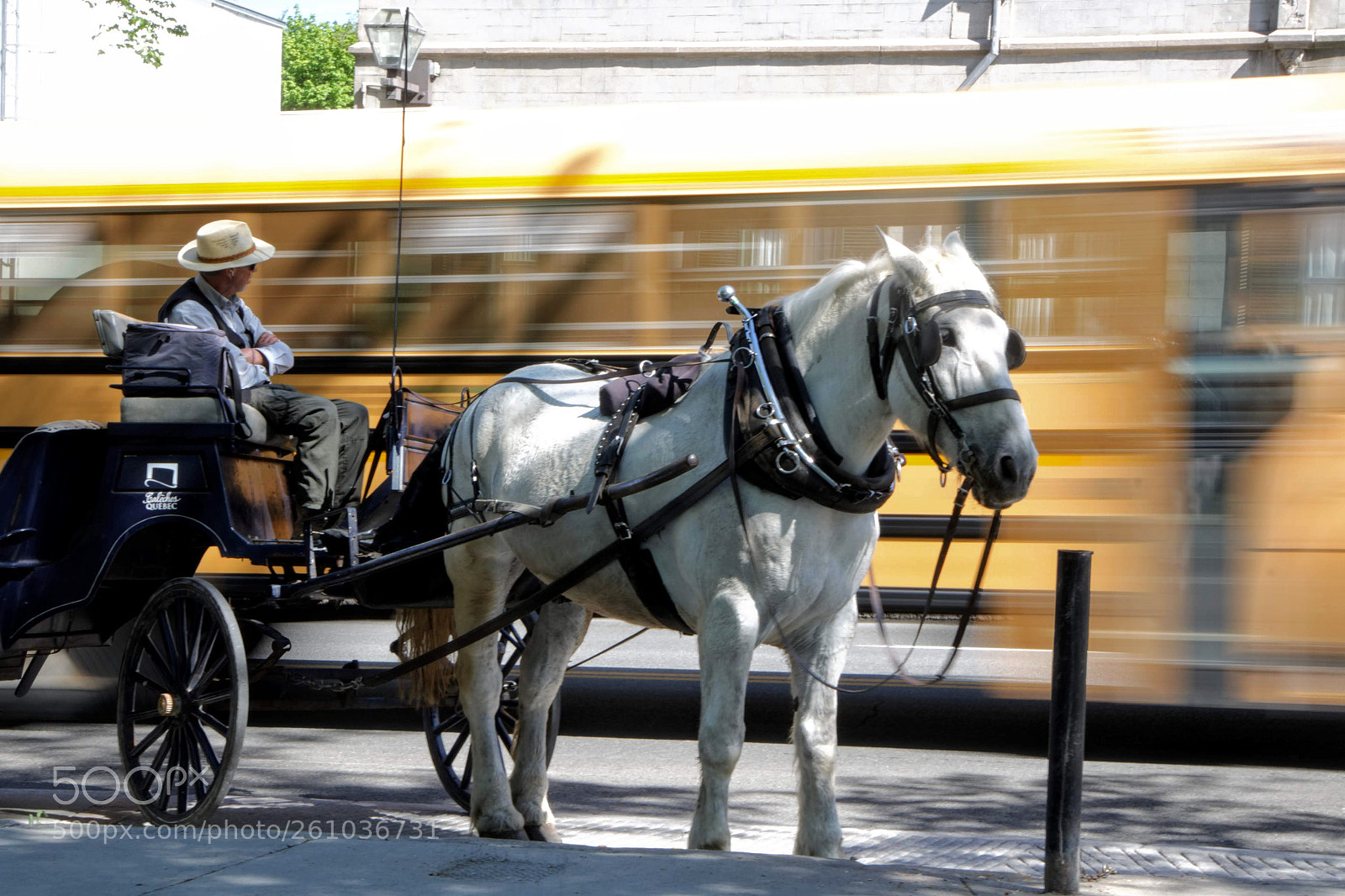 Canon EOS 750D (EOS Rebel T6i / EOS Kiss X8i) sample photo. School bus photography