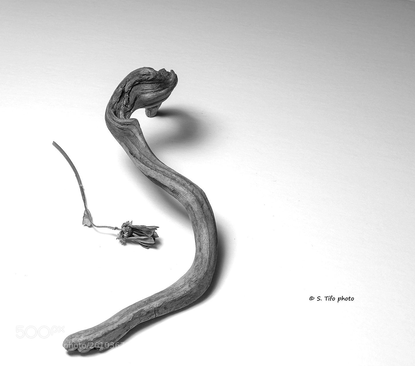 Canon EOS 80D sample photo. S curve .... photography