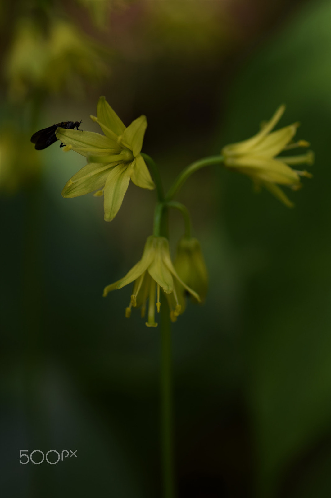 Nikon D3300 sample photo. Reverence photography