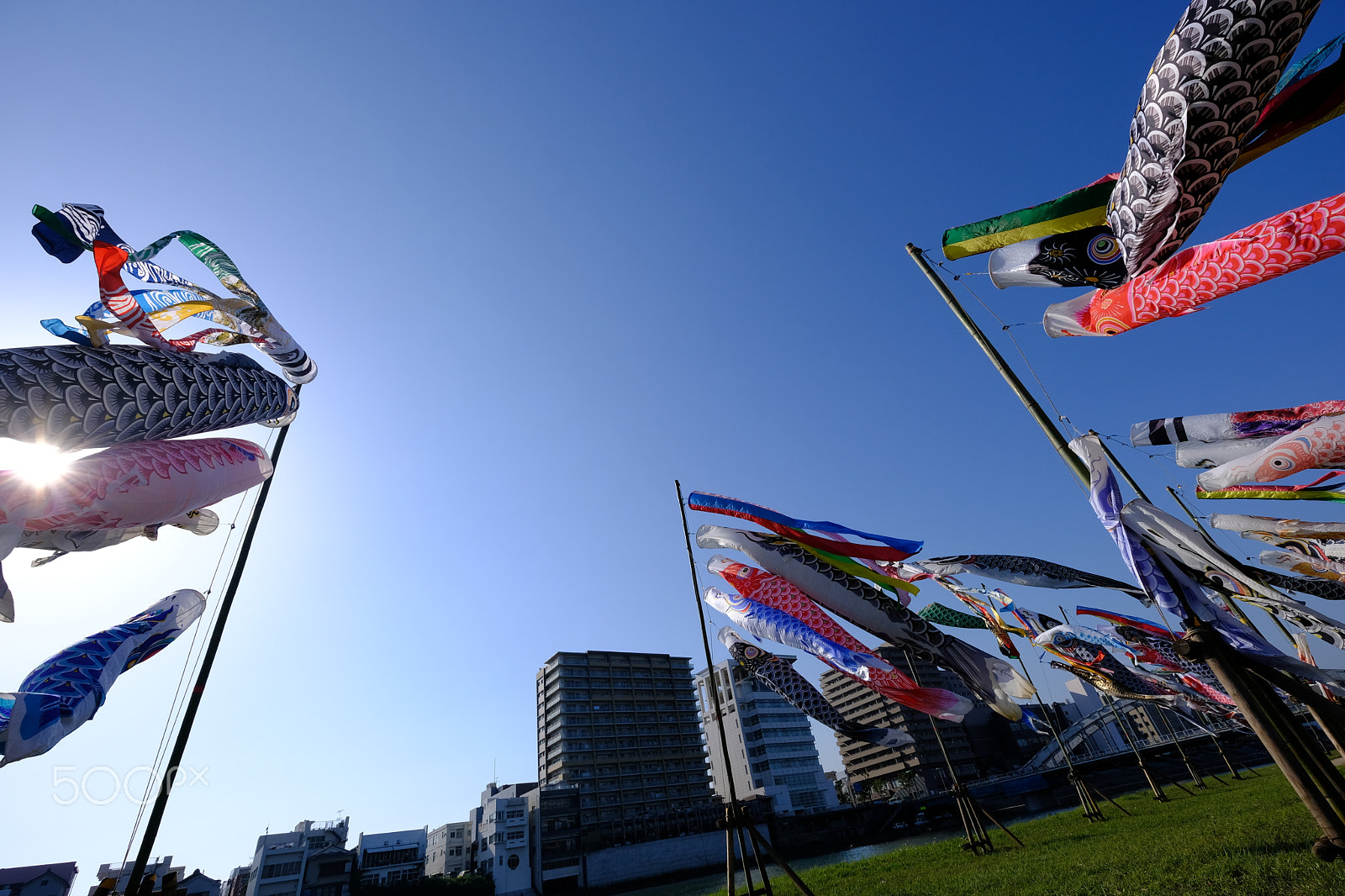 Fujifilm X-E3 sample photo. 鯉のぼり (carp streamer) photography