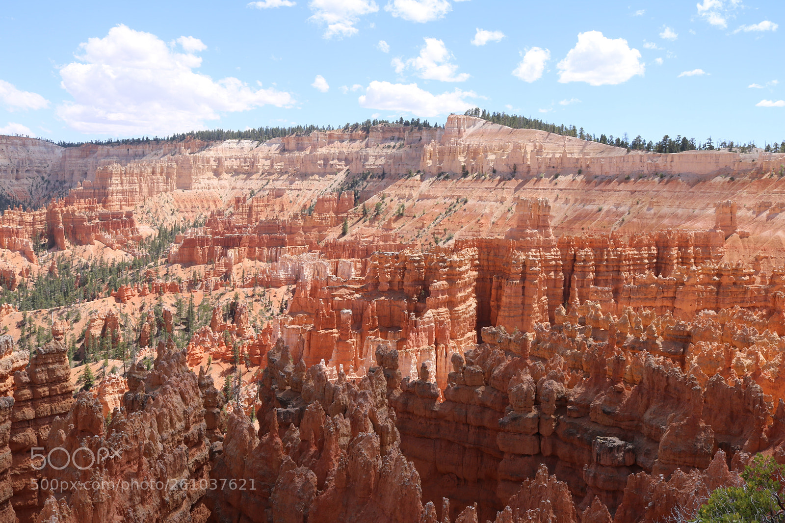 Canon EOS 750D (EOS Rebel T6i / EOS Kiss X8i) sample photo. Bryce canyon national park photography
