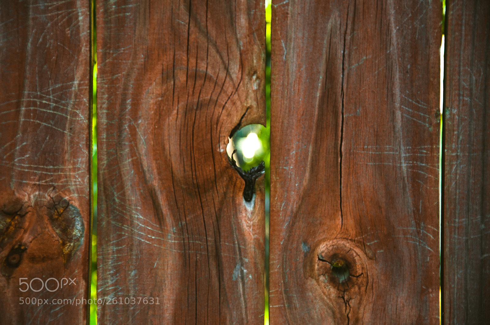 Nikon D90 sample photo. Knot in fence photography