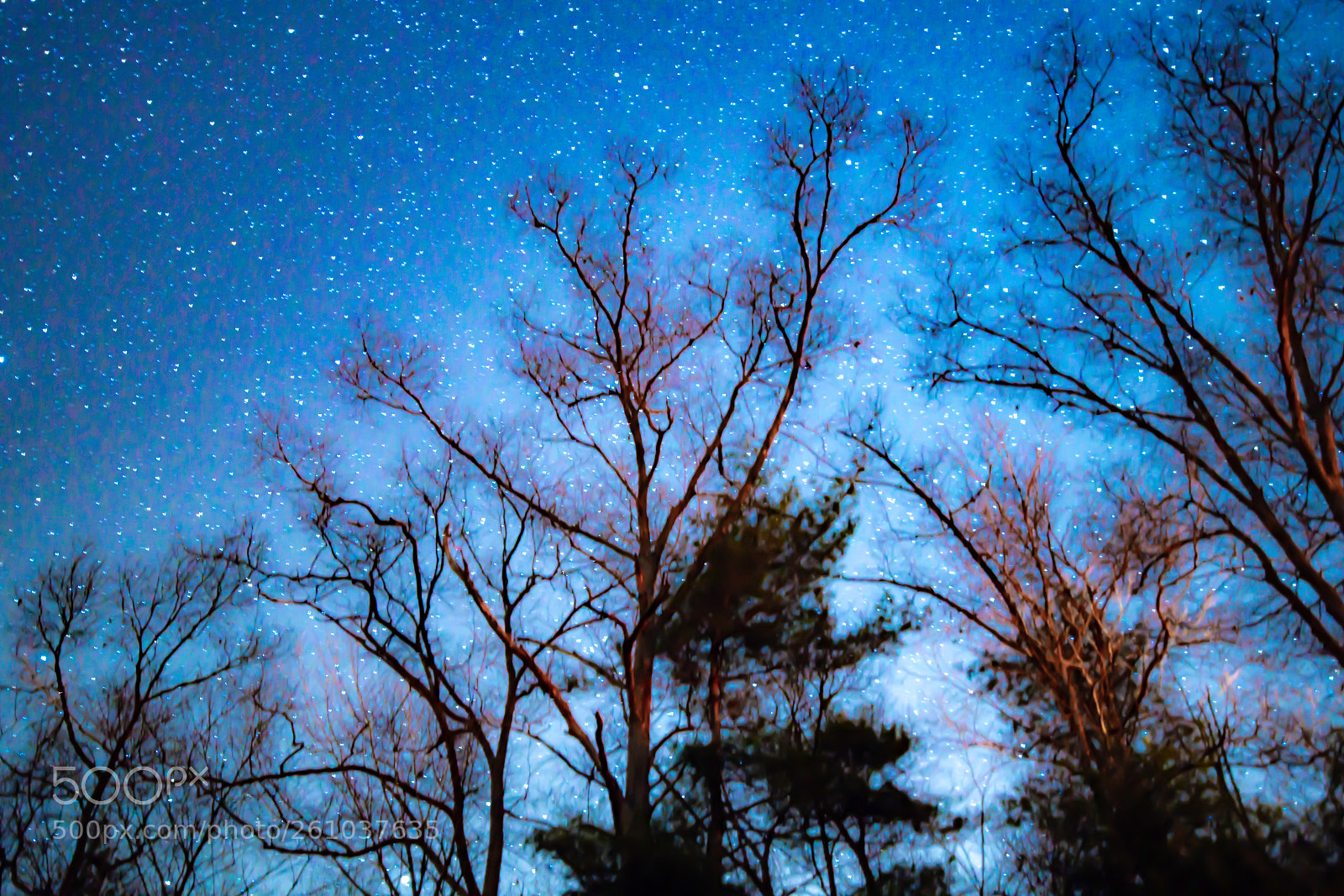 Nikon D850 sample photo. Dreamy night in the photography