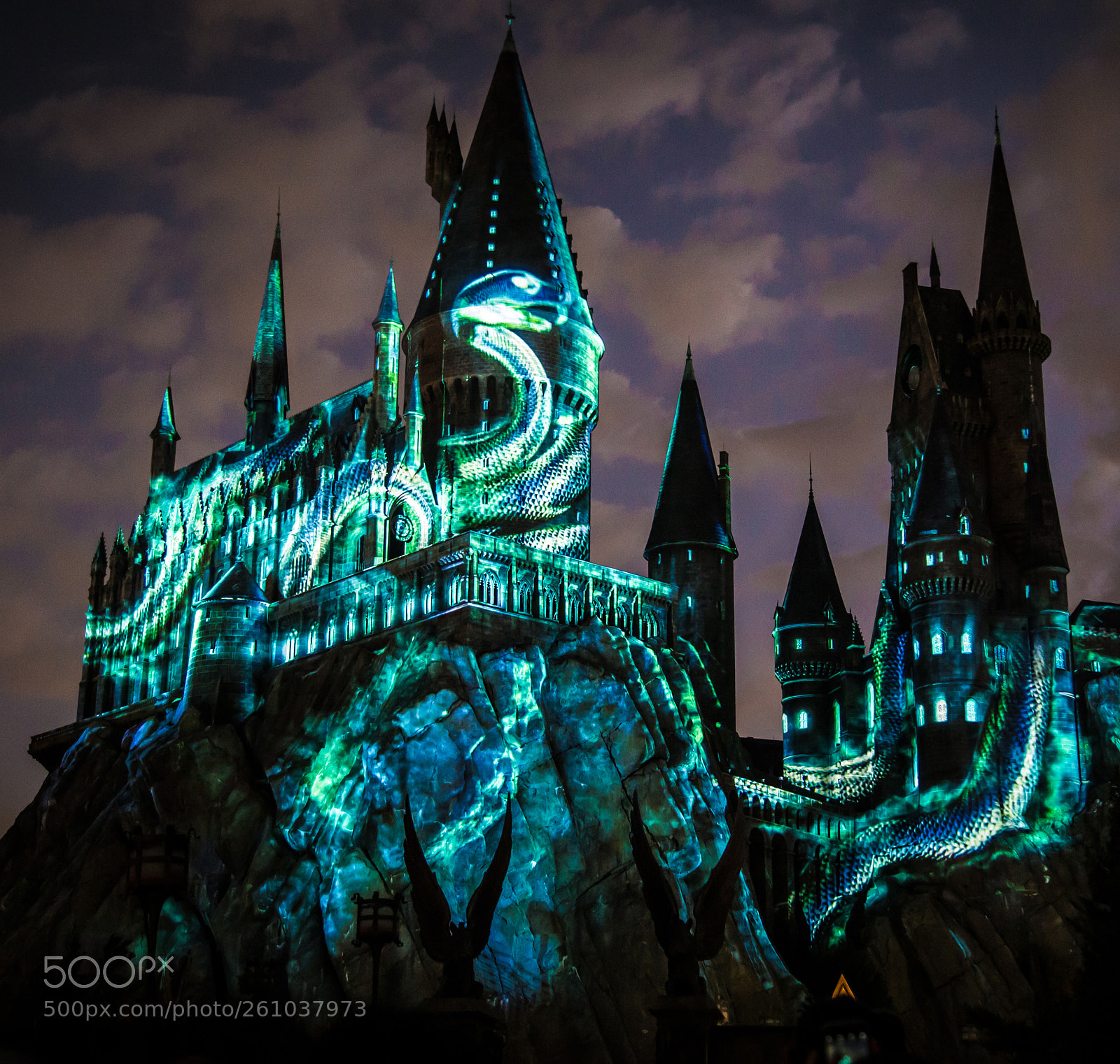 Canon EOS 6D sample photo. Snake of slytherin photography