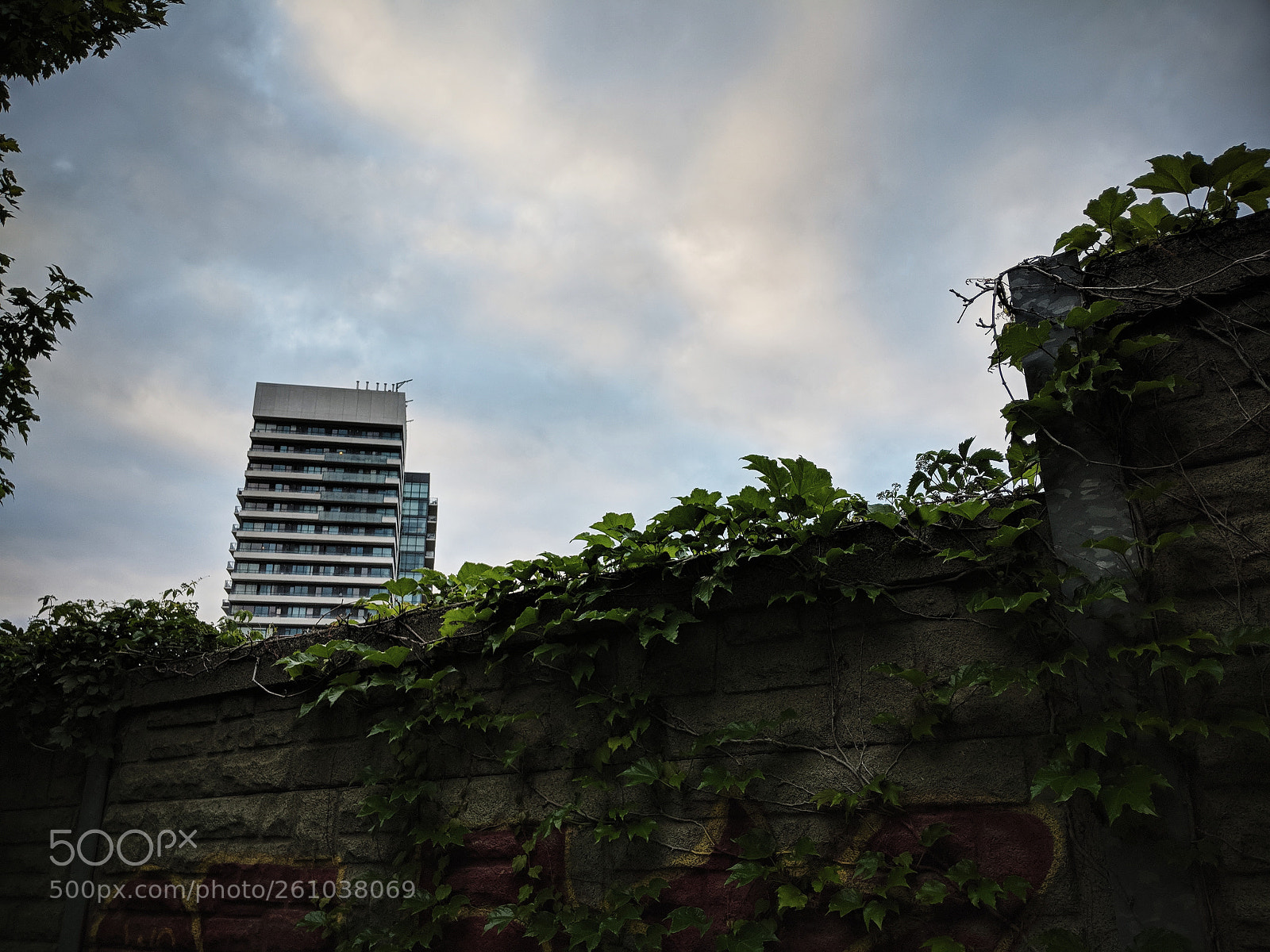 Google Pixel 2 sample photo. Condo vine grove photography
